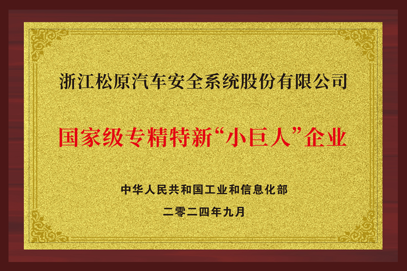 國家級專精特新“小巨人”企業(yè)